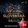 koncert