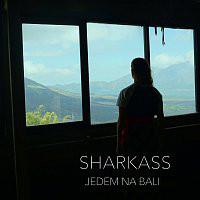 SharkaSs-Jedem na Bali