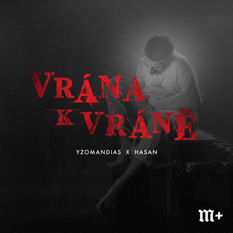 Vrna k vrn