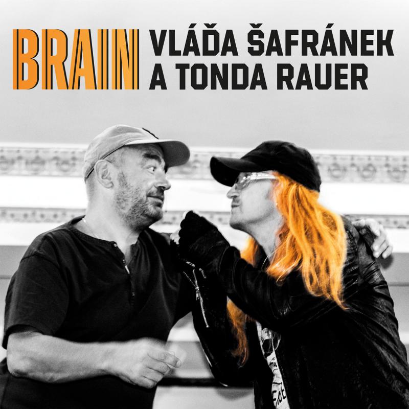 Vladimír Šafránek-Brain