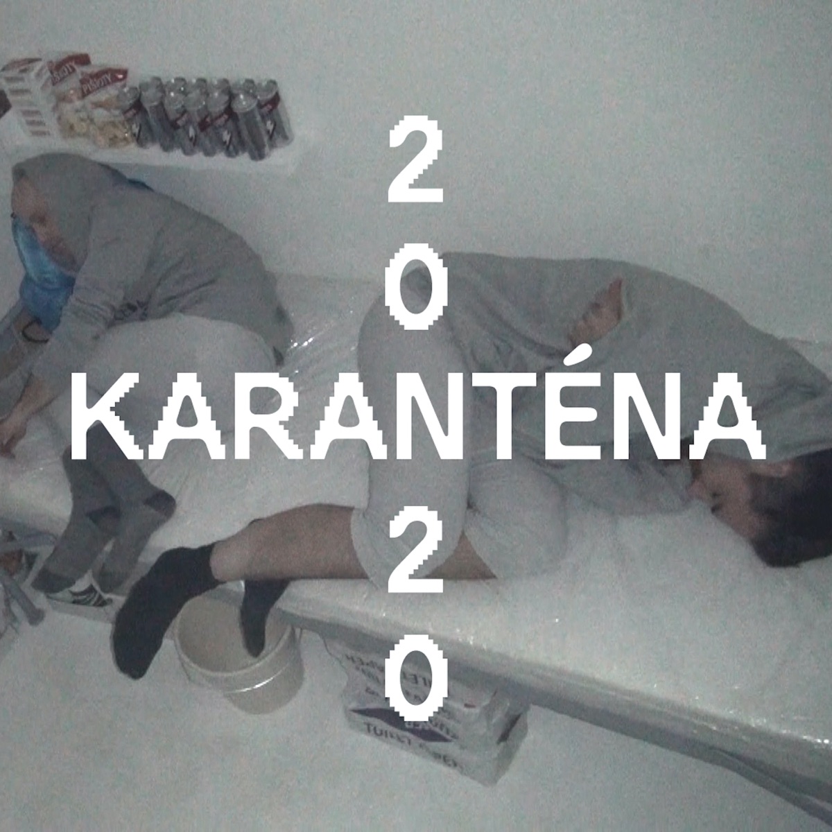 Karanténa 2020