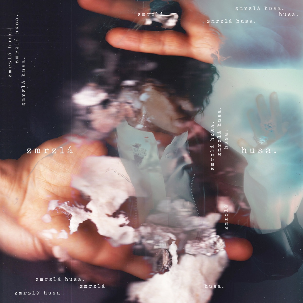 Zmrzlá husa (Lenka's 2025 version)