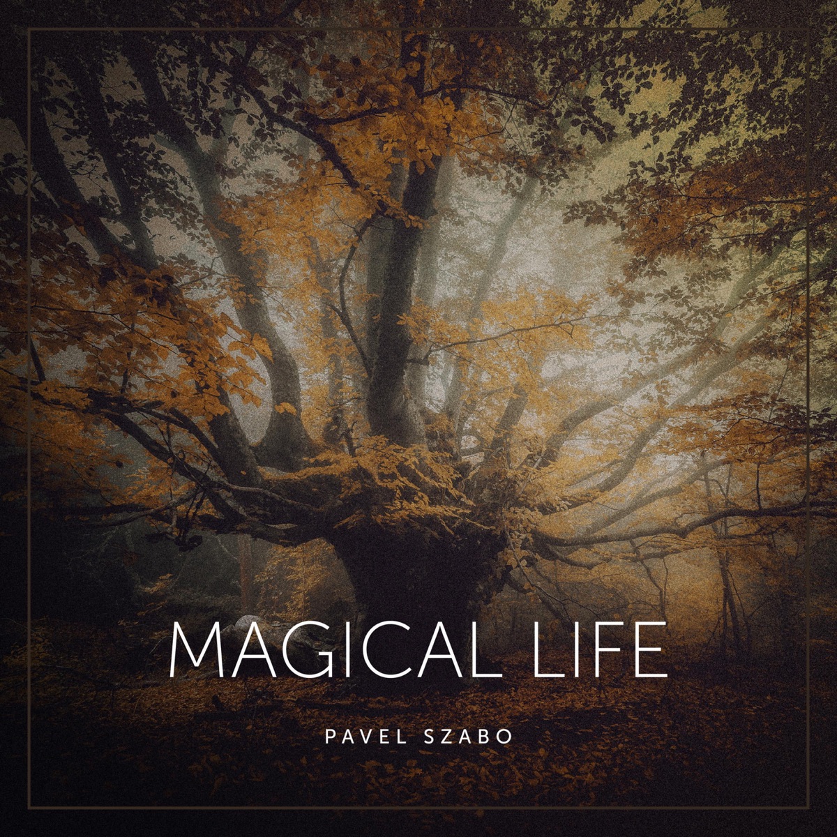 Magical life