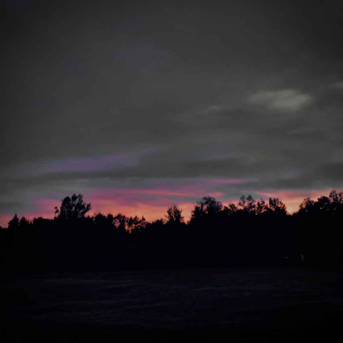 Nightsky (feat. Noxxie)