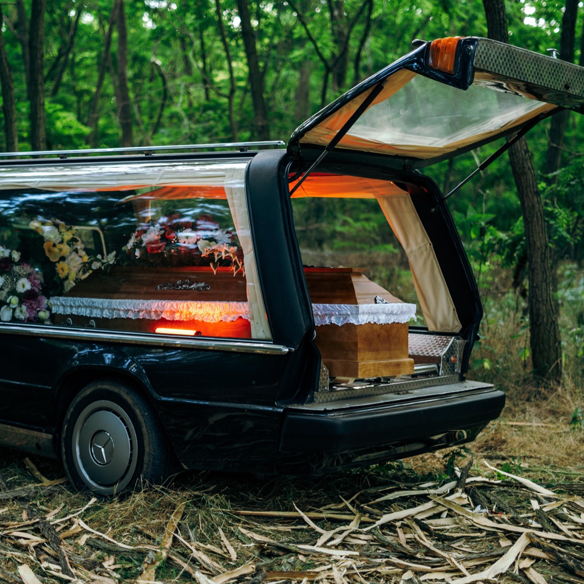 WTF (feat. Vampire399)