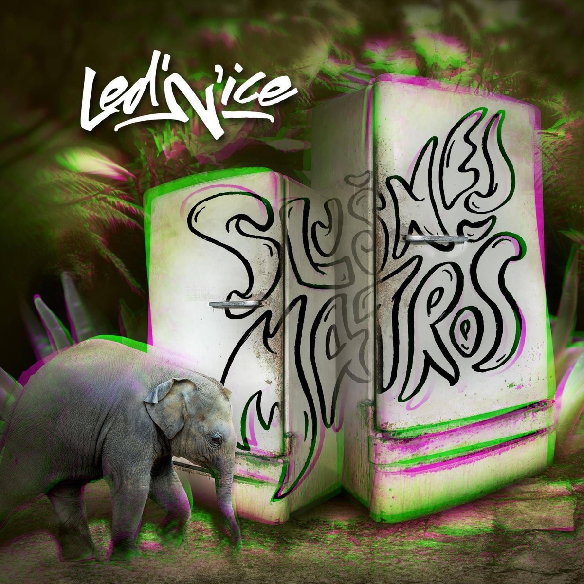 Led"n"ice - slušnej matroš