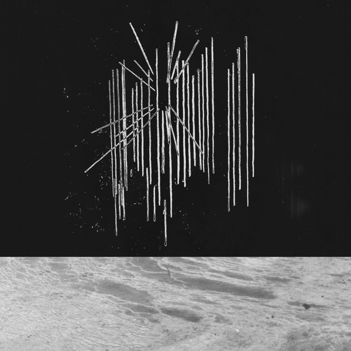 Tell the sea i’m coming back