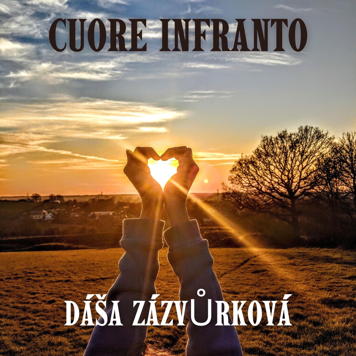 Cuore infranto