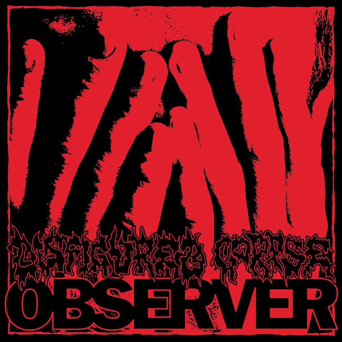 Observer