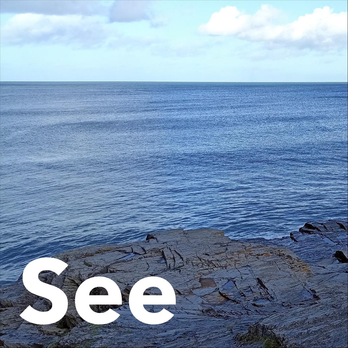 See
