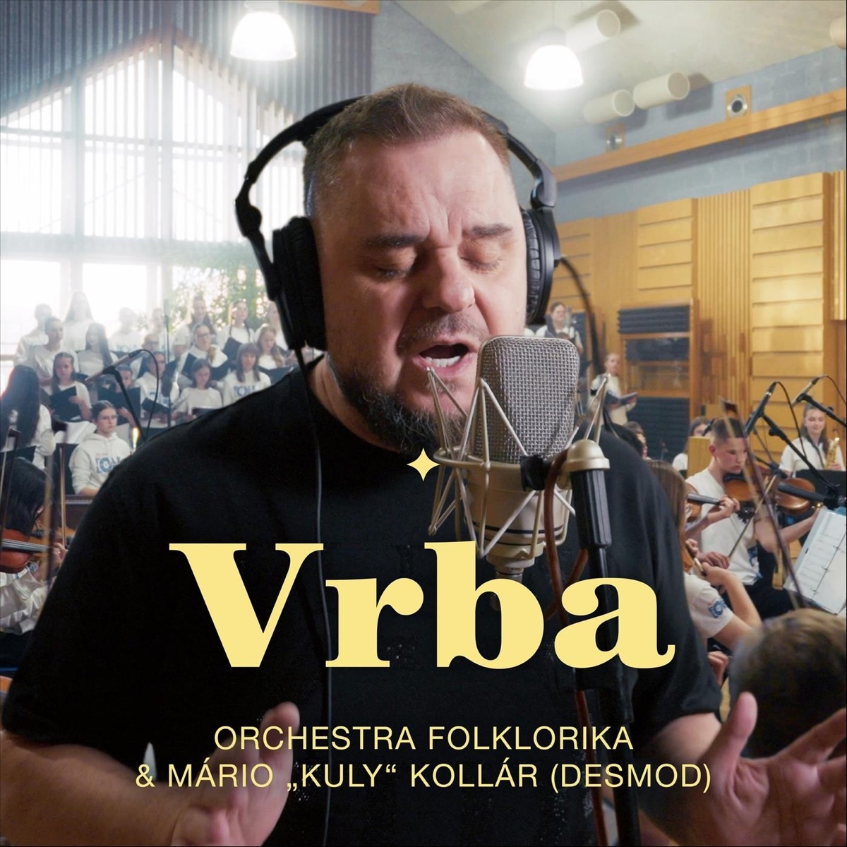Vrba (feat. Mário Kuly Kollár)
