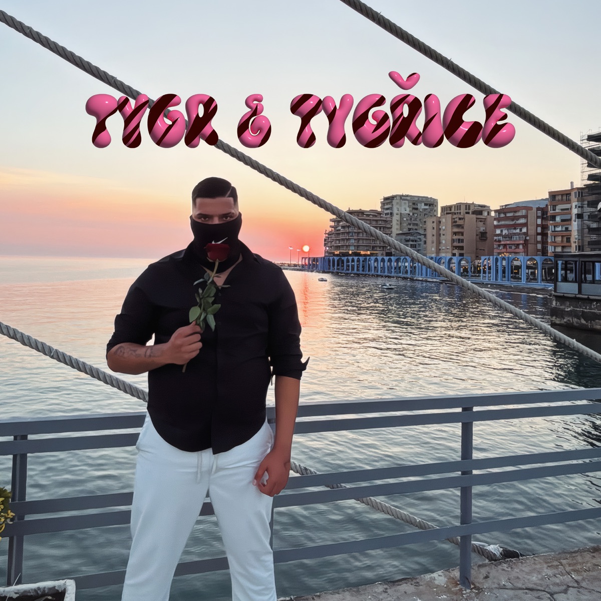 Tygr a tygřice