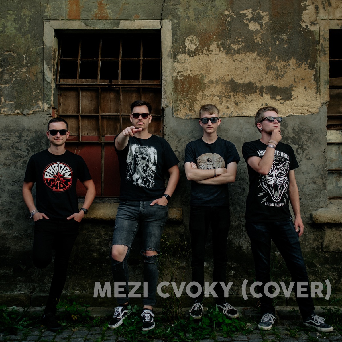 Mezi cvoky (plexis cover)