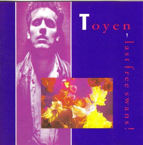 Toyen-Last Free Swans