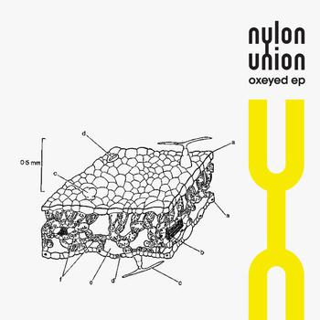 Nylon Union-Oxeyed