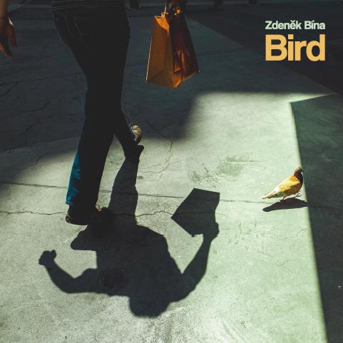 Zdeněk Bína-Bird