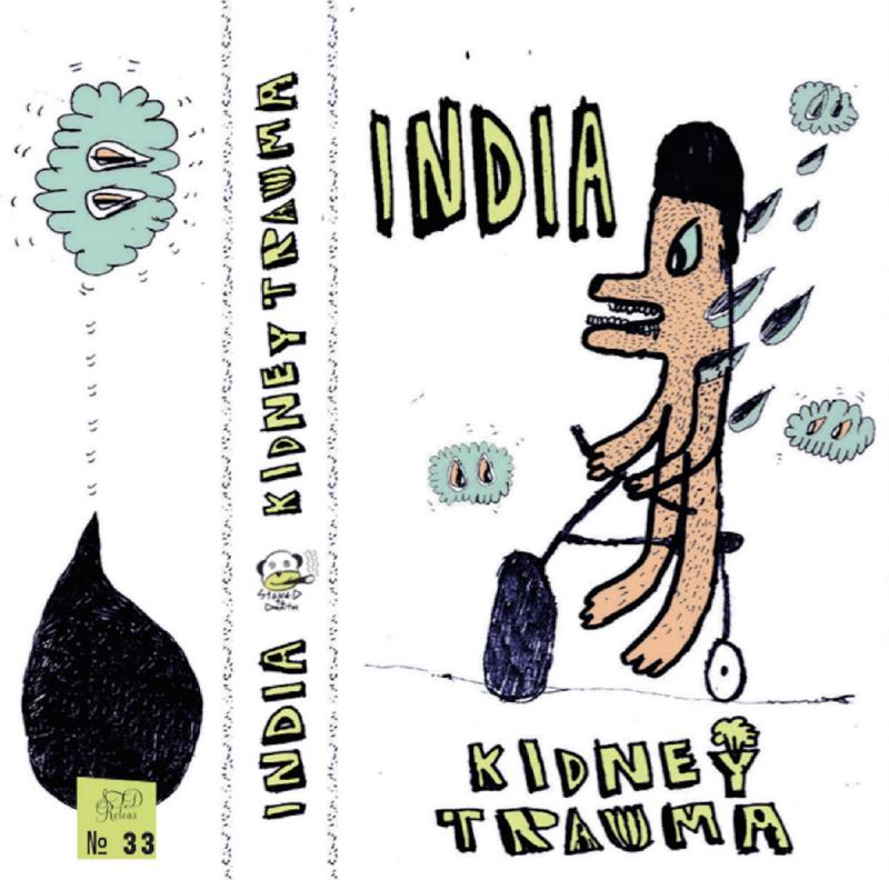 Kidney Trauma-India / Kidney Trauma
