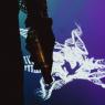 Tumor (feat. umtor & Ay$kr)