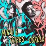 Dokola