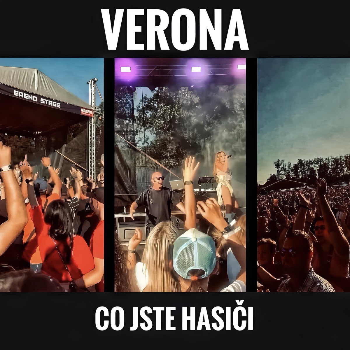 Co jste hasii