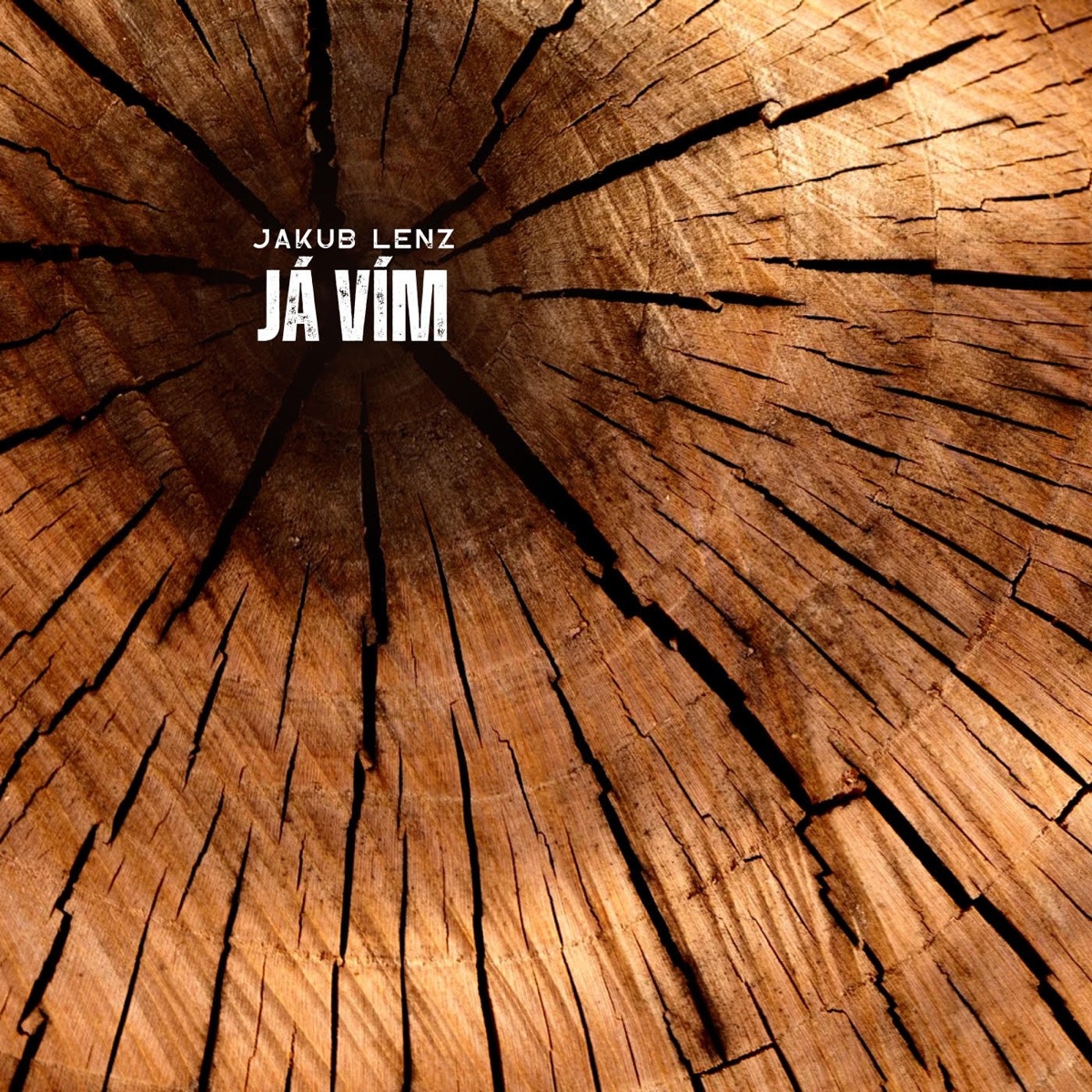 J vm feat. Jakub Lenz Trio