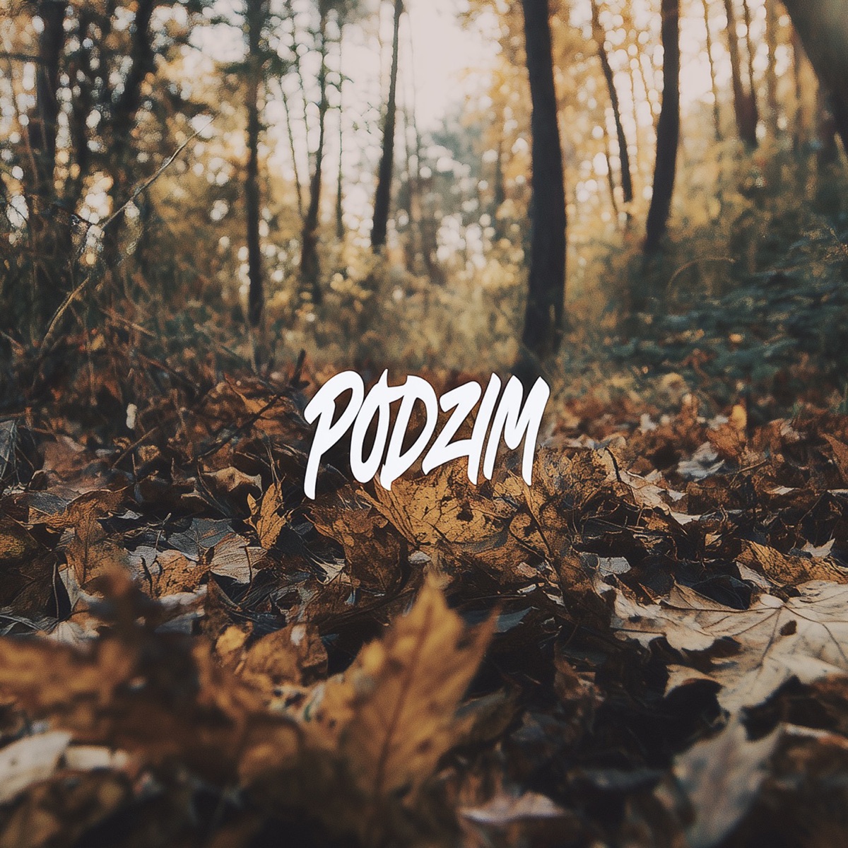 Podzim (patnej Wliw cover)