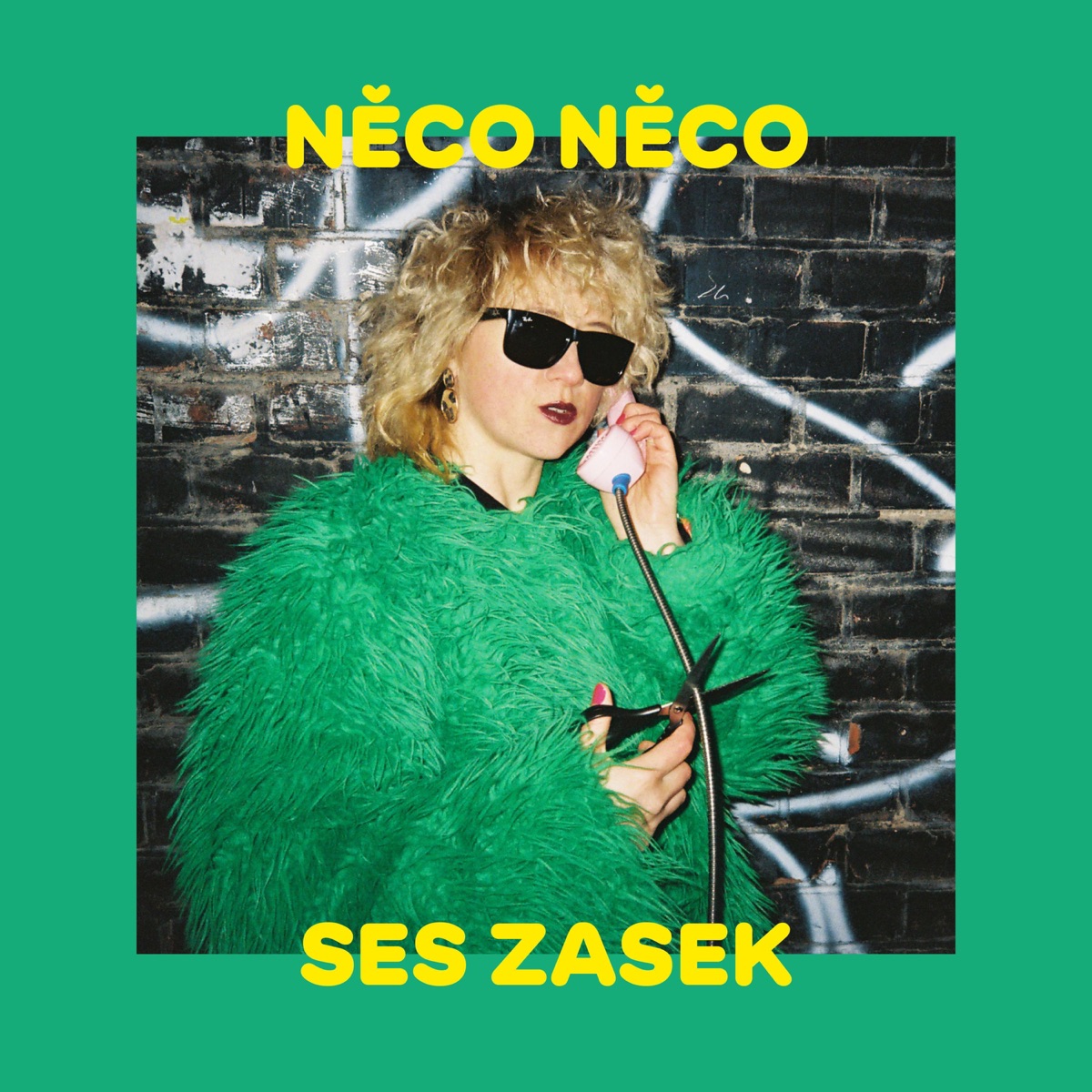 Ses zasek