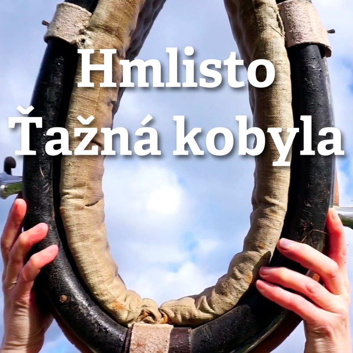 �a�n� kobyla
