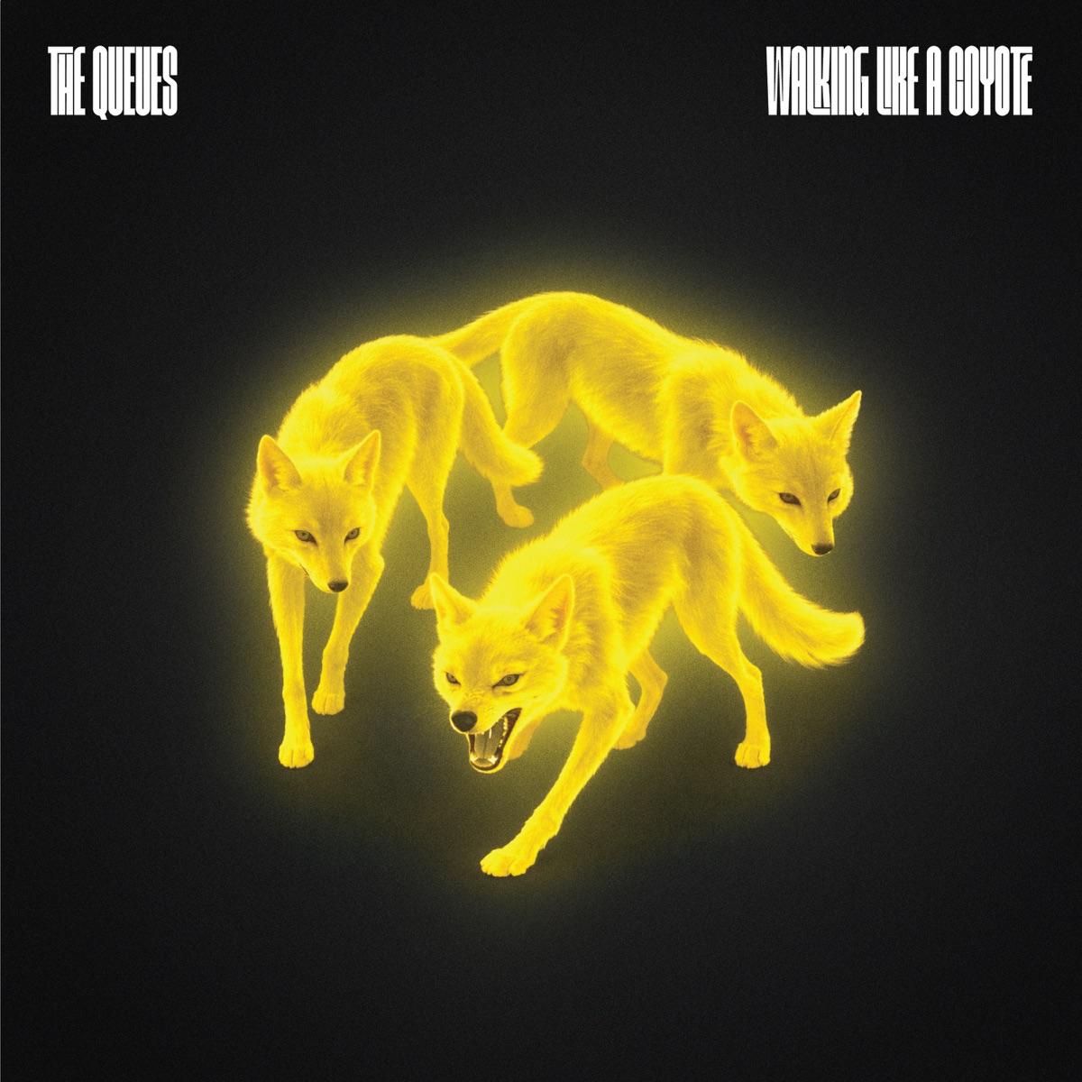 Walking like a coyote