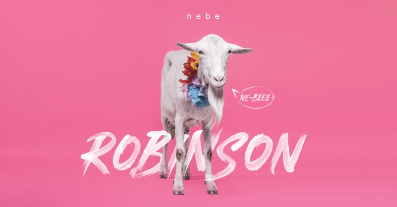 Skupina NEBE přichází s letním tanečním singlem Robinson