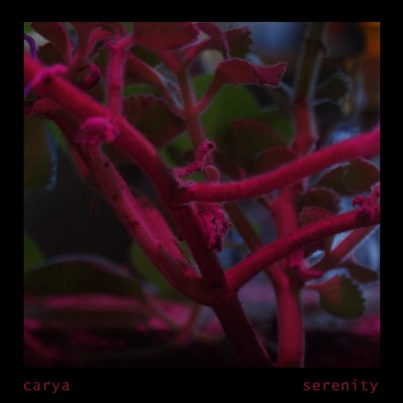 Projekt Carya vydal atmosférický debut