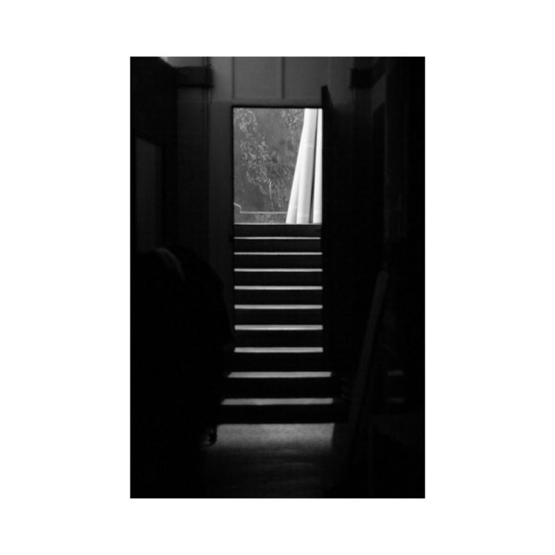 Houpací koně nabízí náhradní území těm, kdo ztratili směr