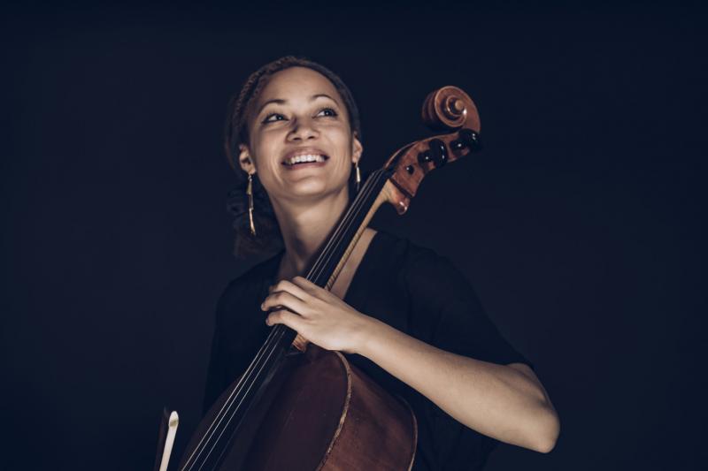novinka