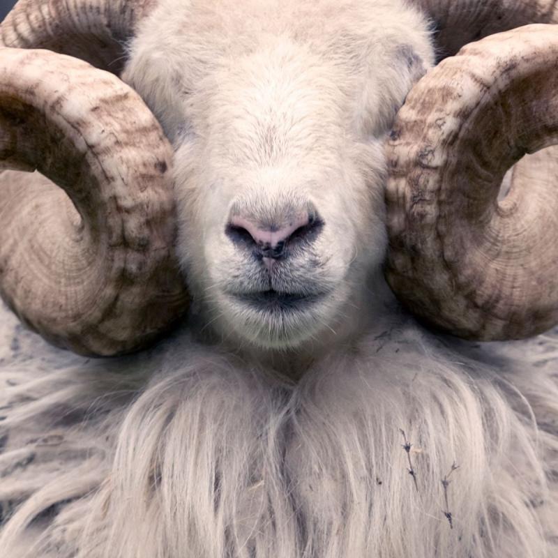 Korben Dallas vydávají nový singl Daj si pozor, čomu uveríš