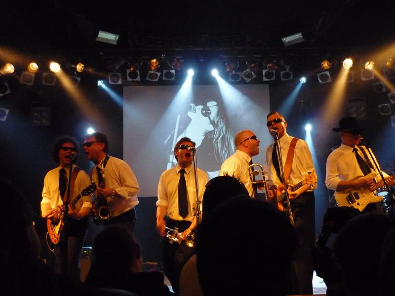 Laura a její tygři - Brno